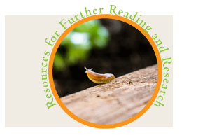birdandlittlebirdblogbutton