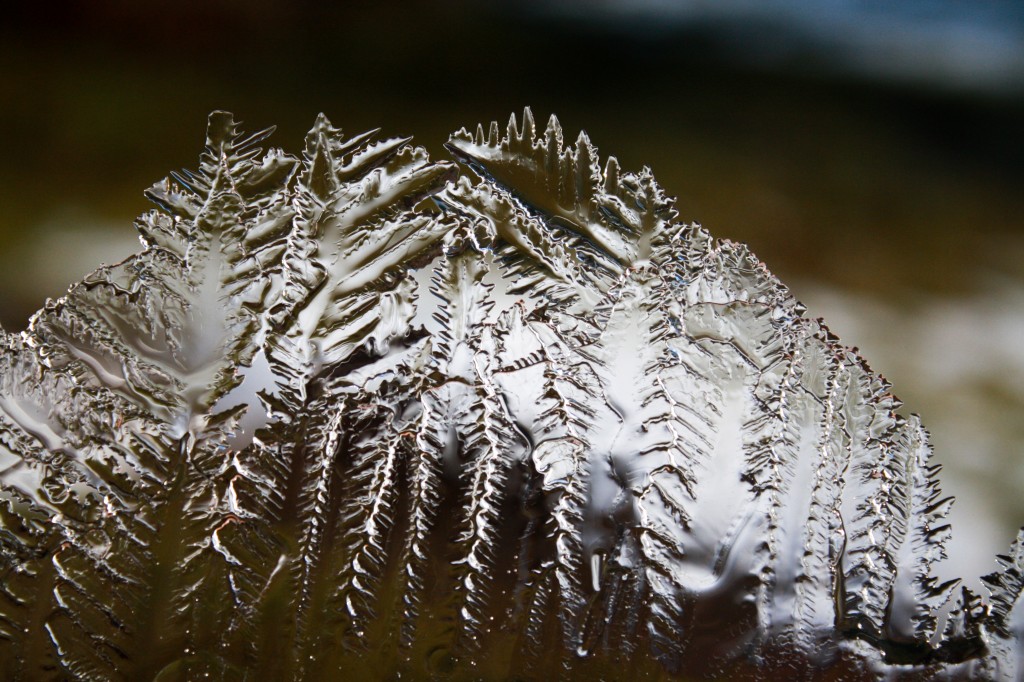 Clear Feather Ice-1