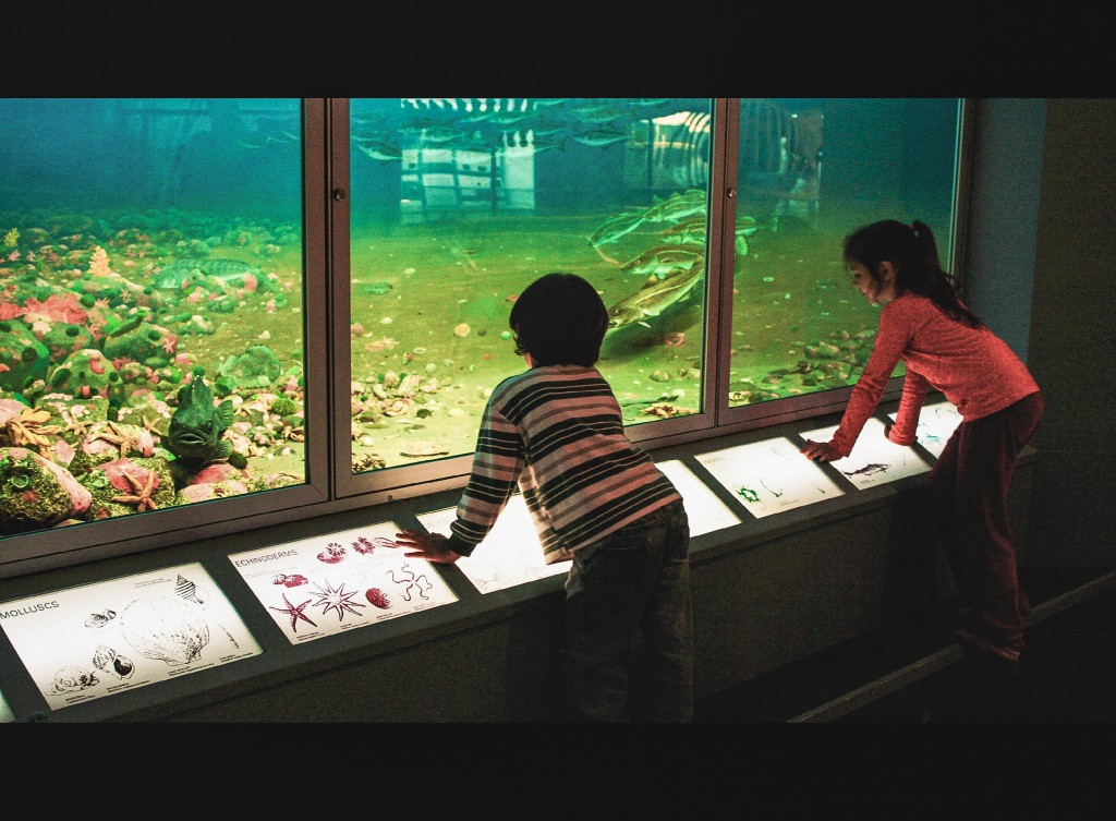 Museum Classroom-1-1