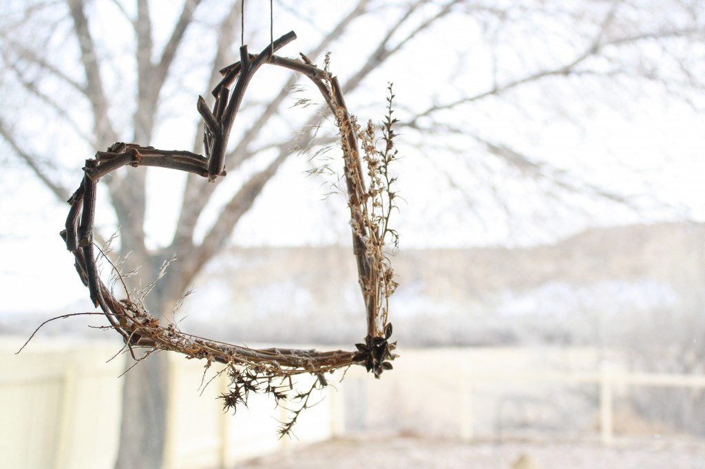 Nature Heart 23-1