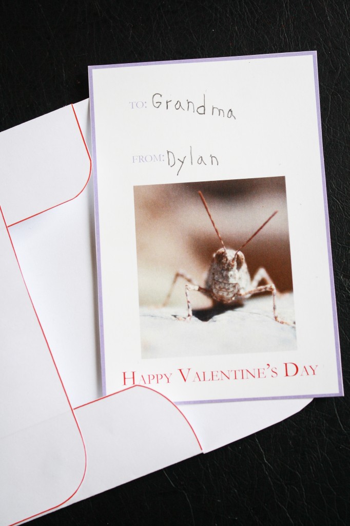 Valentine Cards 3-1
