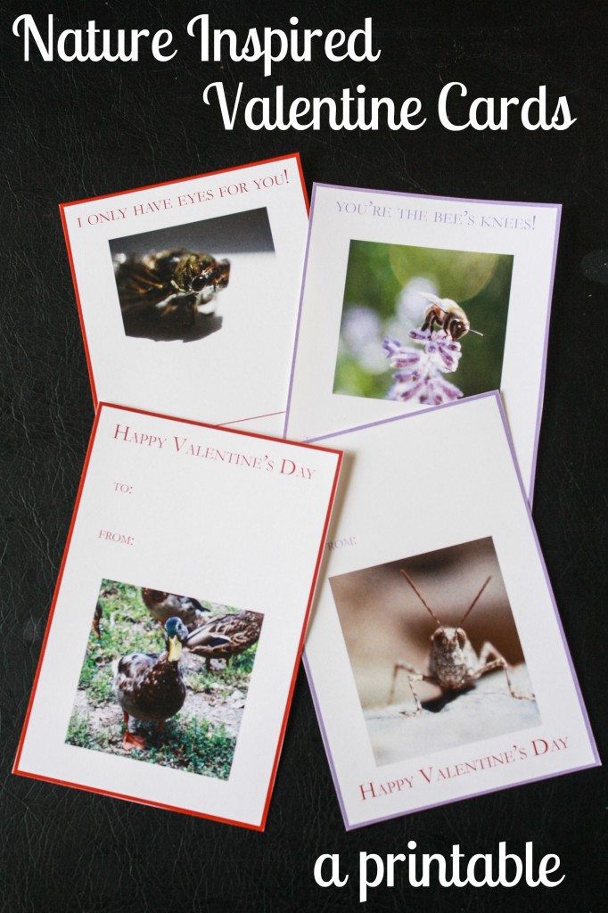 Valentine Cards text 3